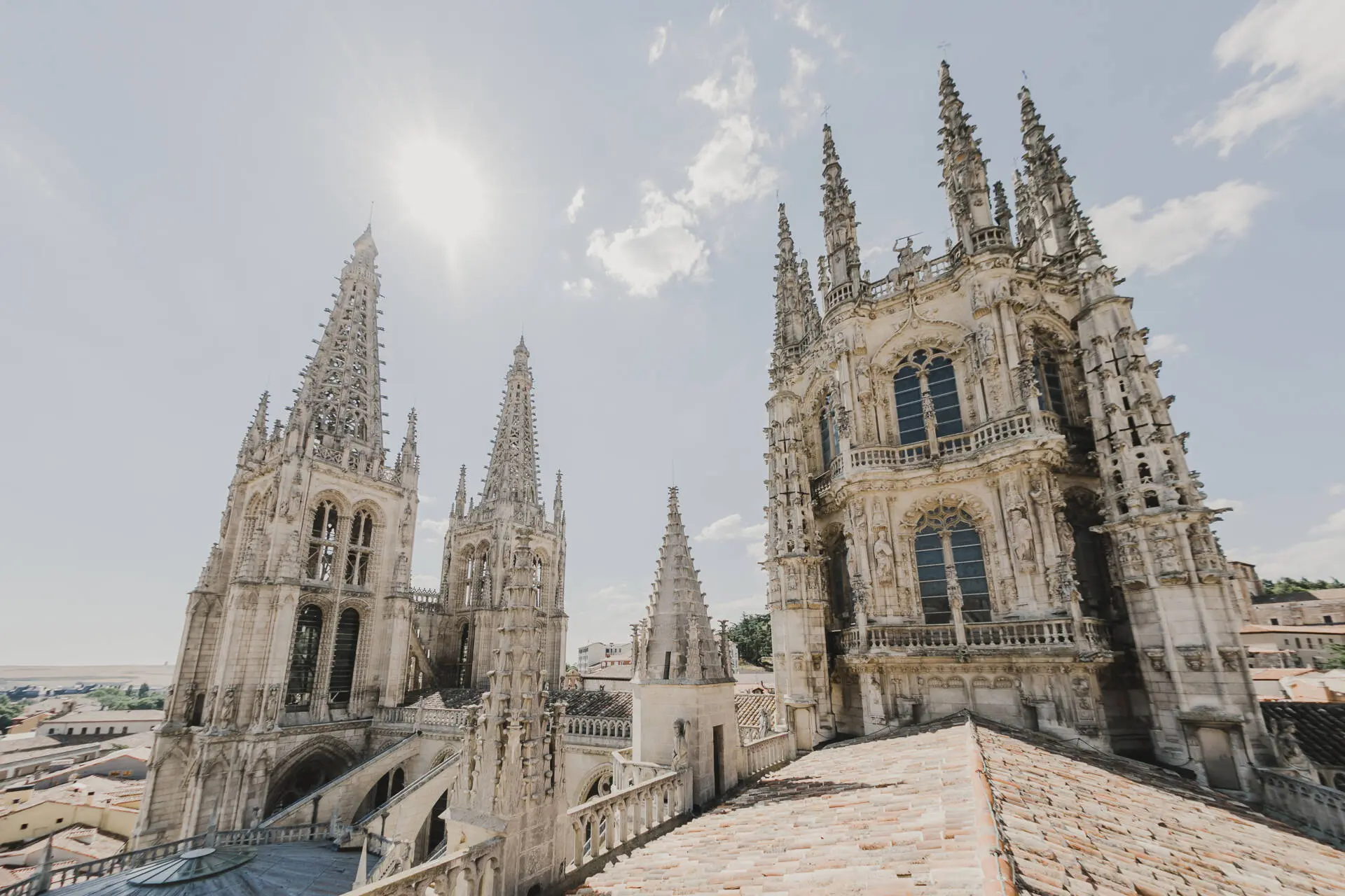 catedral de burgos 6